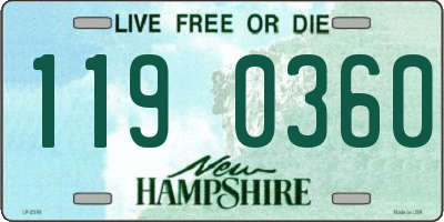 NH license plate 1190360