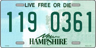 NH license plate 1190361