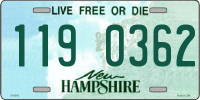 NH license plate 1190362