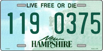 NH license plate 1190375