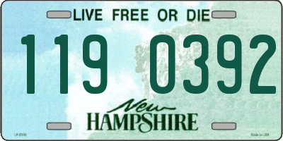 NH license plate 1190392