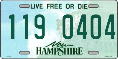 NH license plate 1190404