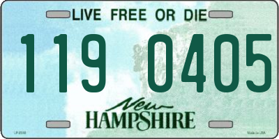 NH license plate 1190405