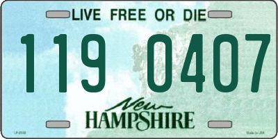 NH license plate 1190407
