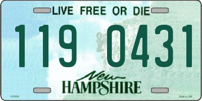 NH license plate 1190431