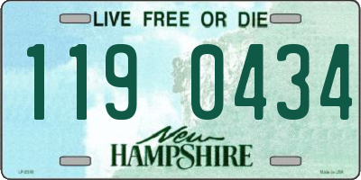 NH license plate 1190434