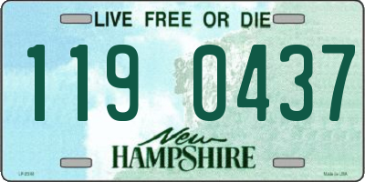 NH license plate 1190437