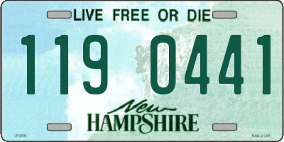 NH license plate 1190441
