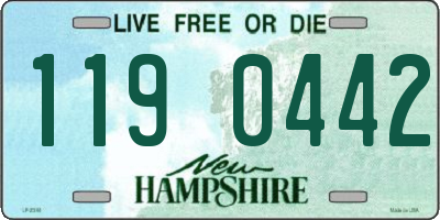 NH license plate 1190442