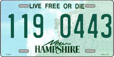 NH license plate 1190443