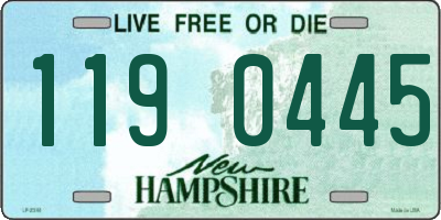 NH license plate 1190445