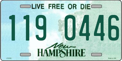 NH license plate 1190446
