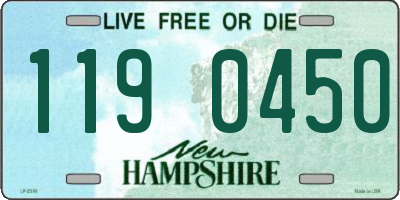 NH license plate 1190450