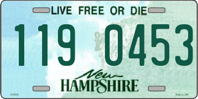 NH license plate 1190453