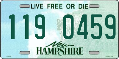 NH license plate 1190459