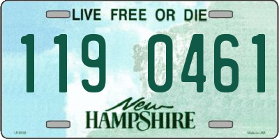 NH license plate 1190461