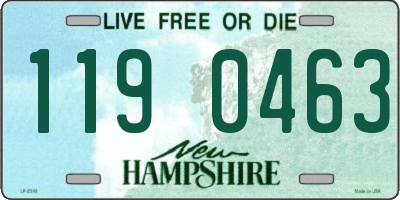 NH license plate 1190463