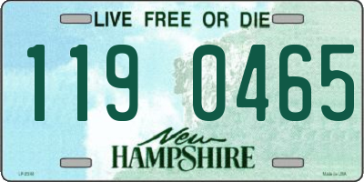 NH license plate 1190465