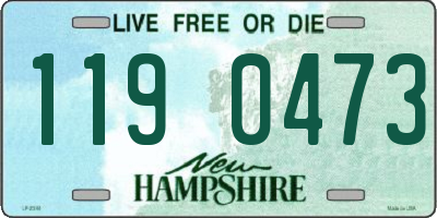 NH license plate 1190473