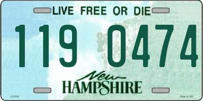 NH license plate 1190474