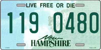 NH license plate 1190480