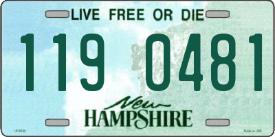 NH license plate 1190481