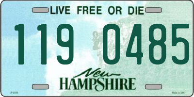 NH license plate 1190485