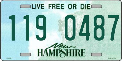 NH license plate 1190487