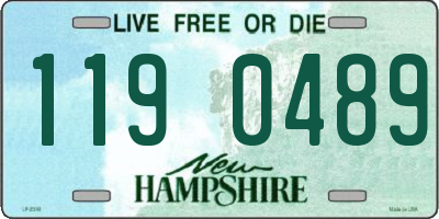 NH license plate 1190489