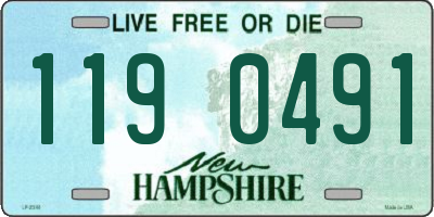 NH license plate 1190491