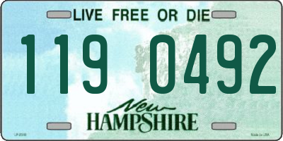 NH license plate 1190492