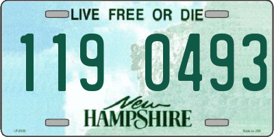 NH license plate 1190493