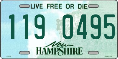 NH license plate 1190495