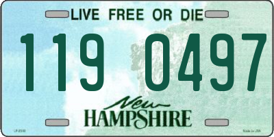 NH license plate 1190497
