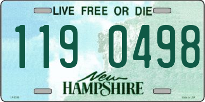 NH license plate 1190498