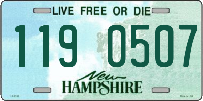 NH license plate 1190507