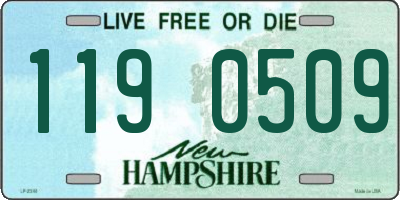 NH license plate 1190509