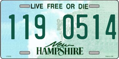NH license plate 1190514