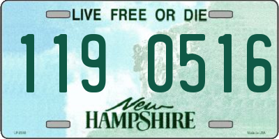 NH license plate 1190516