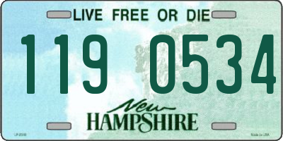 NH license plate 1190534