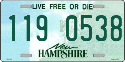 NH license plate 1190538
