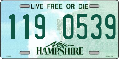 NH license plate 1190539