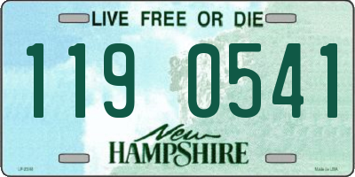 NH license plate 1190541