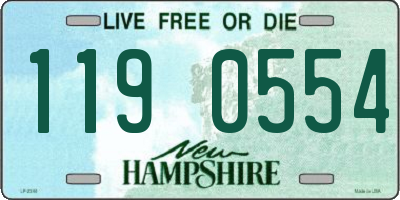 NH license plate 1190554
