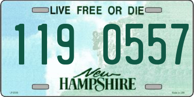 NH license plate 1190557