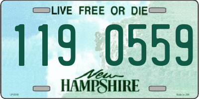 NH license plate 1190559