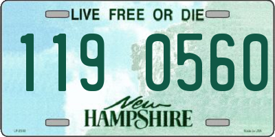 NH license plate 1190560