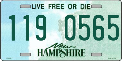 NH license plate 1190565