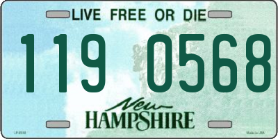 NH license plate 1190568