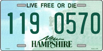 NH license plate 1190570